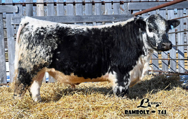 Legacy Rambolt 74J