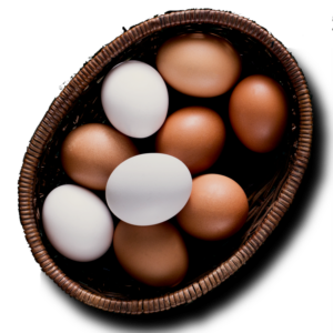 eggs