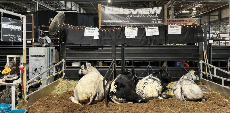 2023 Show String